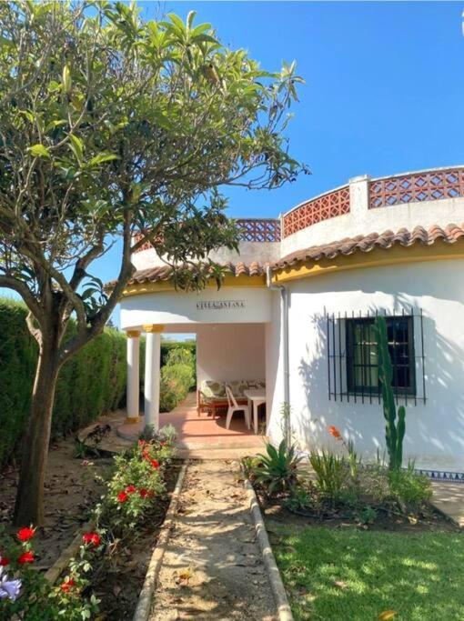 Tierra Del Sur Villa Conil De La Frontera Ngoại thất bức ảnh