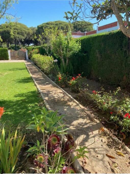 Tierra Del Sur Villa Conil De La Frontera Ngoại thất bức ảnh
